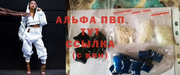 эйфоретик Бородино
