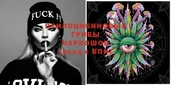 эйфоретик Бородино