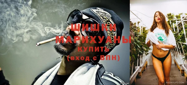 эйфоретик Бородино